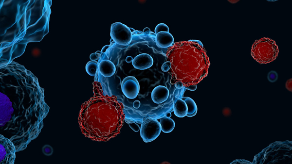 PrudentBiotech.com ~ Car T and Cancer Cells