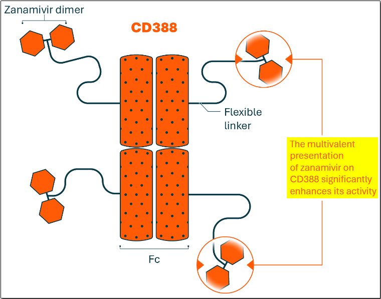 8-CDTX-Array-Fragment